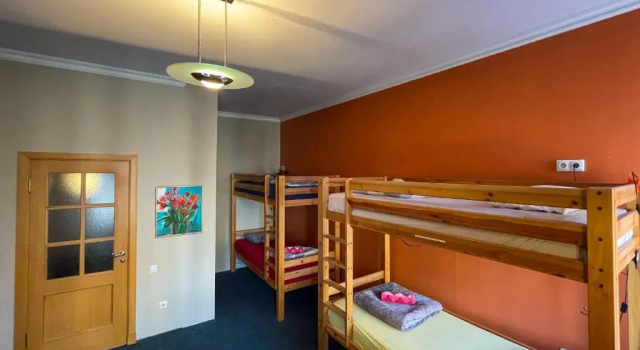Кровать в общем номере (женский номер) Cinnamon Sally Backpackers Hostel