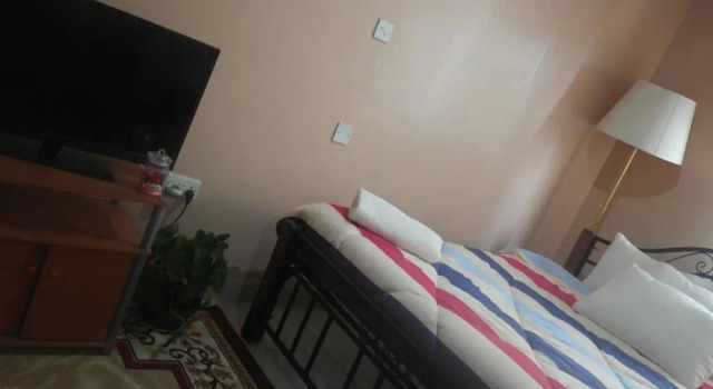 Номер Standard Palm Airport Suites
