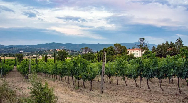 Апартаменты Superior Agriturismo Albergotti
