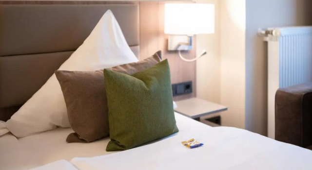 Двухместный номер Comfort Hotel im Park