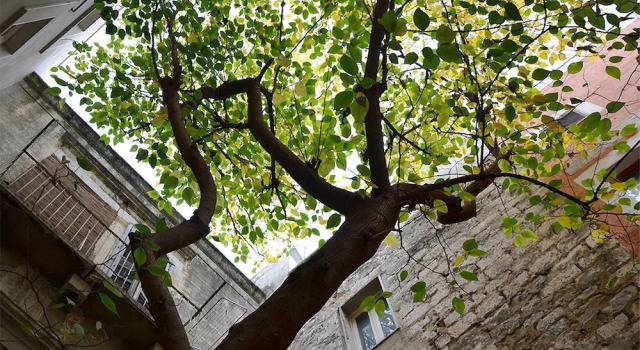 B&B Suite Home Trani Old Town, Buchen Sie Bed & Breakfast Hotels im Zentrum von Trani, hotels im Zentrum von Trani