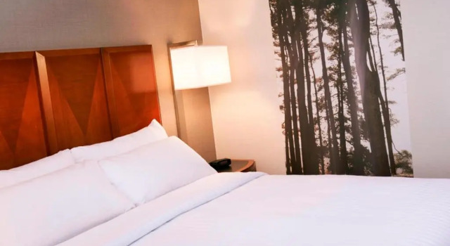Номер Standard Detroit Metro Airport Marriott