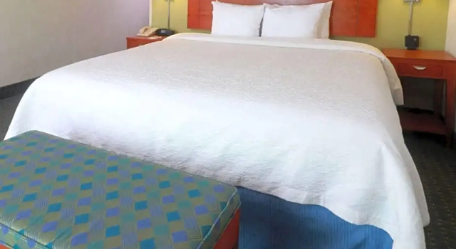 Студия Hampton by Hilton Reynosa Zona Industrial