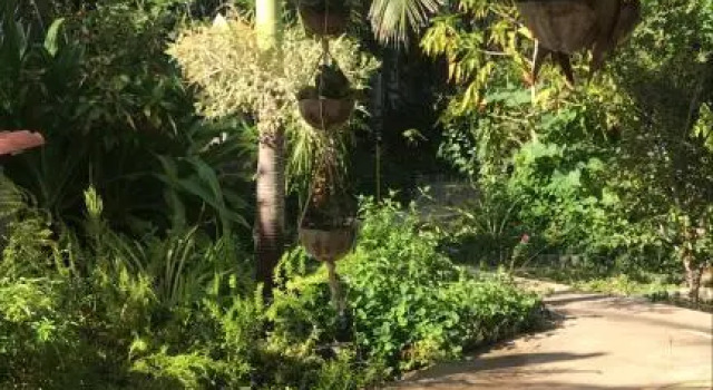 Pousada Maré, Reserva ahora Hotel Hoteles en Noreste de Brasil con aparcamiento, Aparcamiento