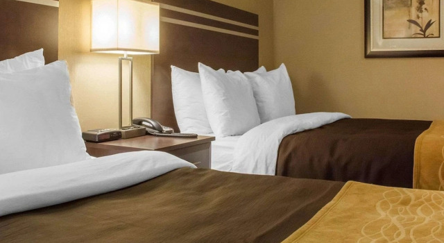 Четырёхместный номер Comfort Comfort Inn