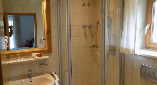 Двухместный номер Standard Alpenhotel Bergzauber