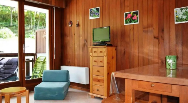 Appartement Le Grand-Bornand, 1 pièce, 4 personnes - FR-1-241-228