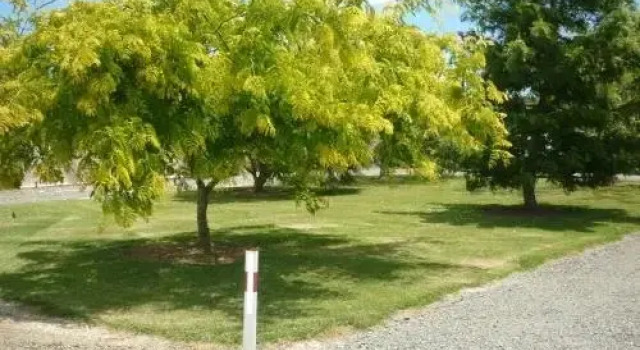 Paparoa Motor Camp, Buchen Sie Hotel  