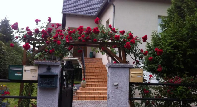 Апартаменты Bel Appartement en RDC proche Strasbourg