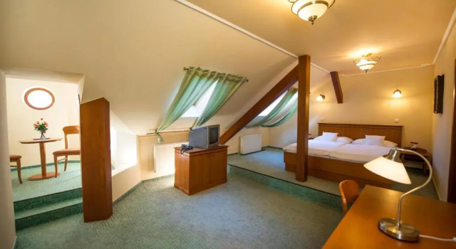 Двухместный номер Standard Hotel Most Slávy