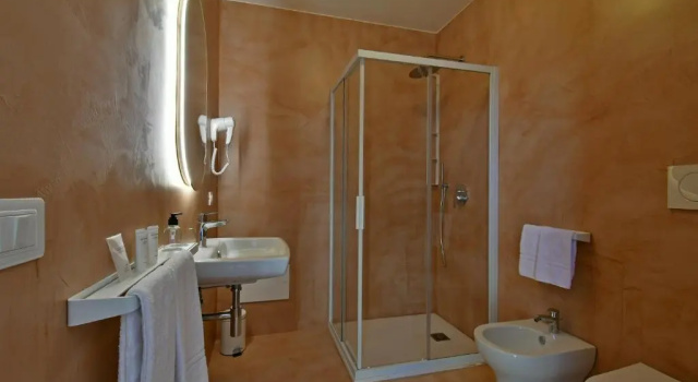 Двухместный номер Standard San Anton Hotel