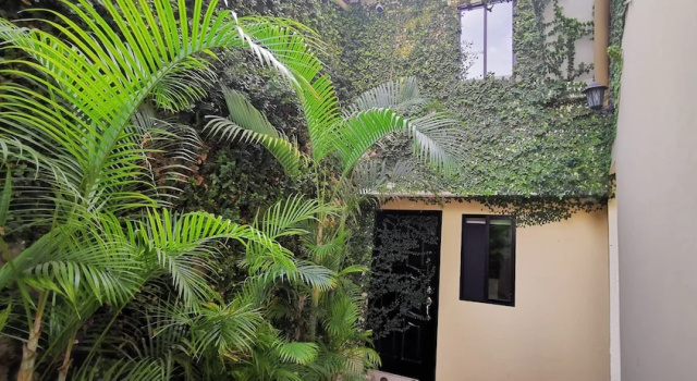 Suite 1 camera da letto Departamentos en Manta