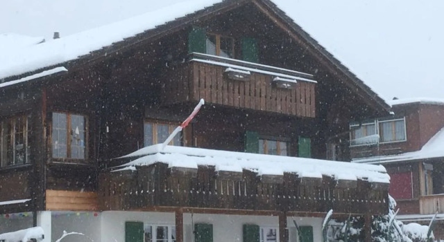 Apartment Hari Adelboden