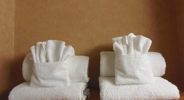 Номер Standard с красивым видом из окна Rosslyn Inn & Suites