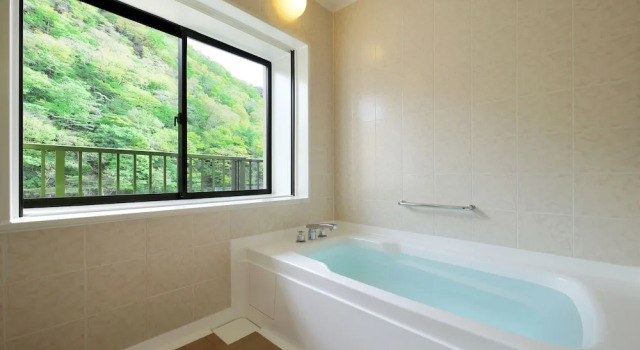 Номер Japanese Style Shuhokan Valley Side Asaya