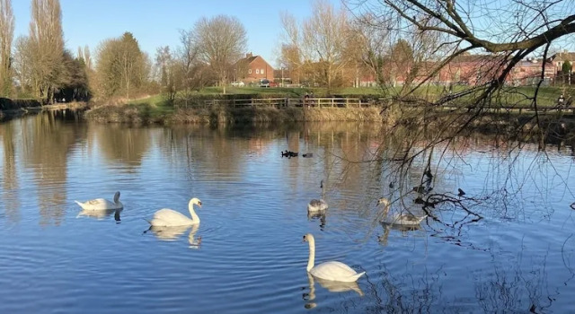 Коттедж 3 Bed Broomfield Road Newport Shropshire