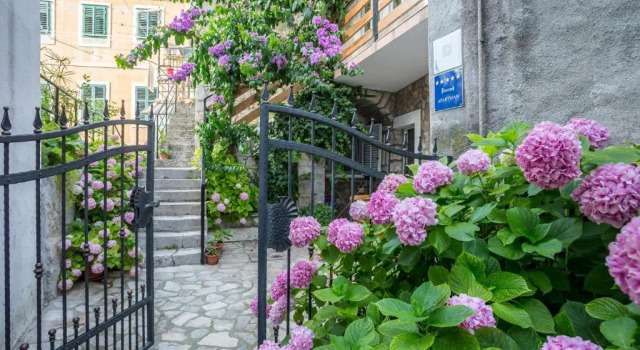 Апартаменты c 1 комнатой Apartments Sara