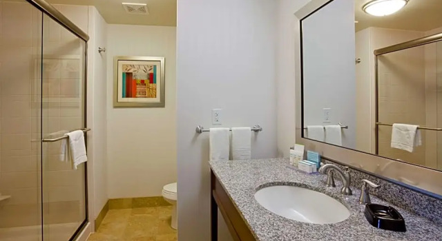 Двухместный люкс Hampton Inn & Suites Minneapolis West/ Minnetonka