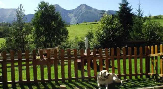 Pension Adamjak, Rezervovat Hotel Hotely v Prešovský kraj s parkováním, Parkování