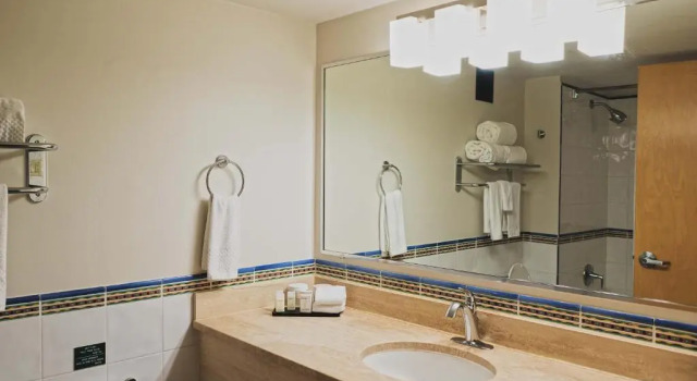 Двухместный люкс Embassy Suites by Hilton Dorado del Mar Beach Resort
