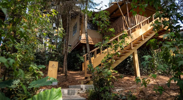 Номер Comfort с балконом Casa del Roble Avandaro