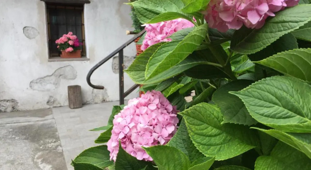 Коттедж c 1 комнатой Maison Cassius