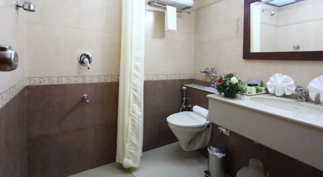 Номер Deluxe Park Residency