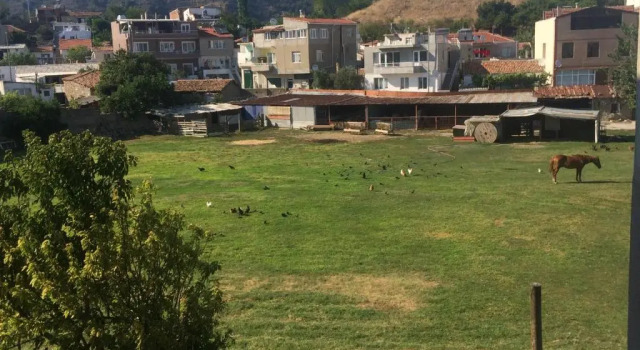 Апартаменты Balcı Apartment