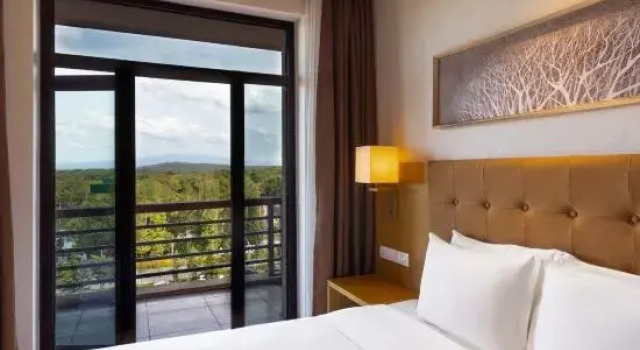 Люкс c 1 комнатой Wanda Jin Suites Changbaishan