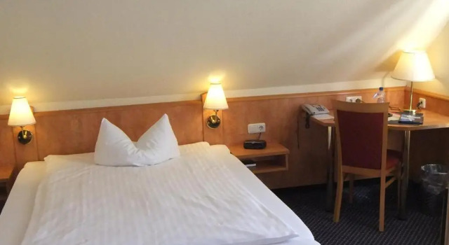 Одноместный номер Standard Hotel Alte Schule