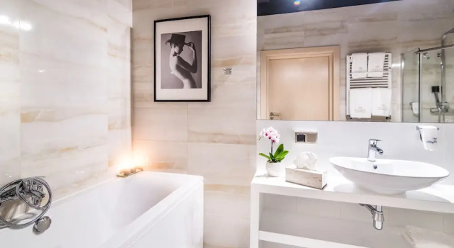 Апартаменты Business Hotel Atelia