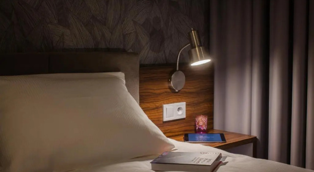 Одноместный номер Deluxe Vulcan Hotel