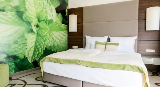 Двухместный номер Superior с балконом Ambient Hotel & Thermal Spa