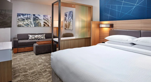 Двухместный люкс SpringHill Suites by Marriott Los Angeles Downey