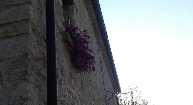 B&B Prato dei Caprioli, Reserva ahora Bed & breakfast Maiolo 