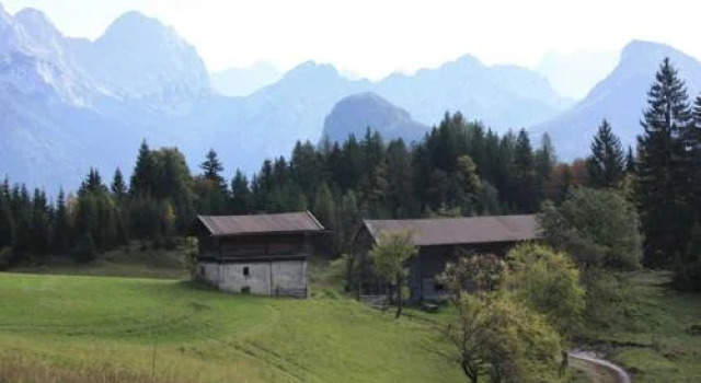 Haus Schwaiger, Забронировать Отель Лофер 