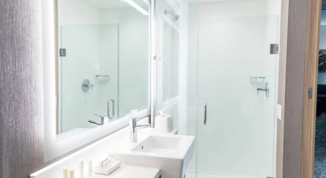 Четырёхместный люкс SpringHill Suites by Marriott Overland Park Leawood