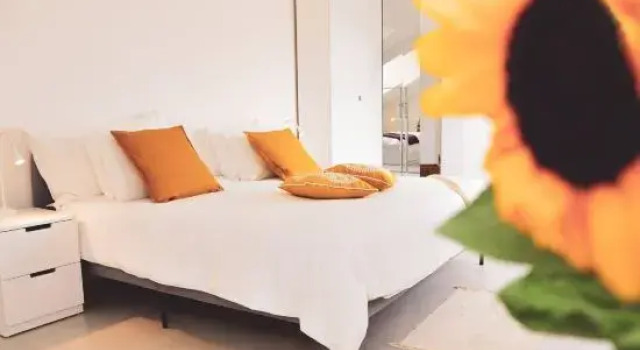 Апартаменты Luxury Nassa Penthouse With Private Terrace in Lugano