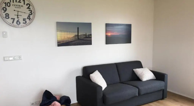 Апартаменты с видом на море Steinn Farm Private Apartment