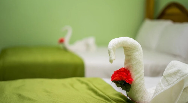 Четырёхместный номер Deluxe с видом на сад Holiday Haven Resort & Banquet Hall