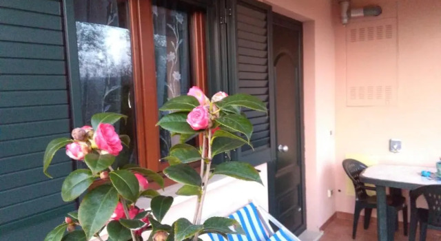 Апартаменты Residence Ai Campi Da Golf Saturnia