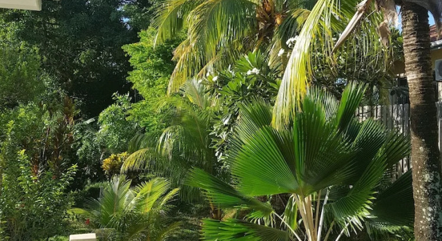 Spas Villas Machabee