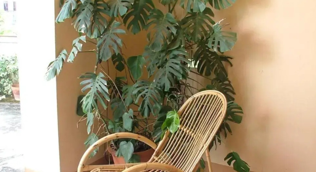 Casa Giordano, Reserva ahora Apartamento Hoteles en Calabria con aparcamiento, Aparcamiento