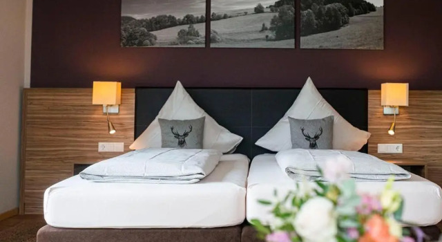 Номер Standard Müller´s Landhotel