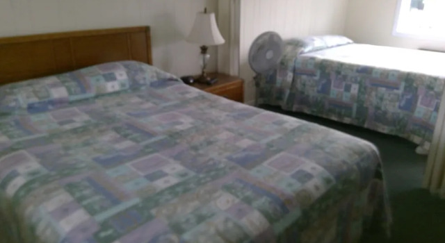 Номер Standard VILLAGE GREEN MOTEL