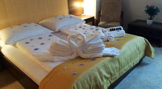 Номер Deluxe Hotel Art