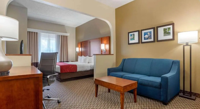 Люкс Comfort Suites Tallahassee Capitol - University Area