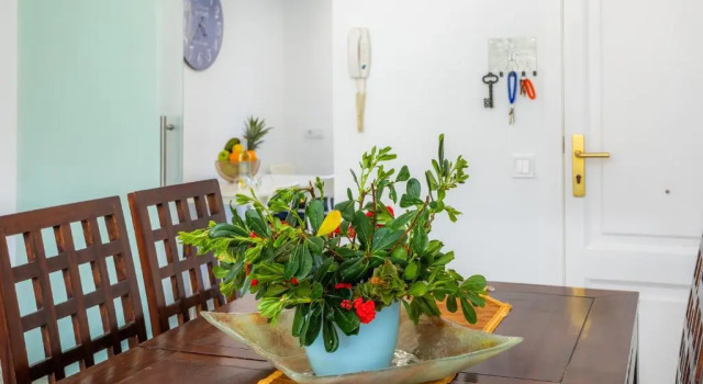 Apartamento La Pergola, Boek Appartement Capdepera Mallorca