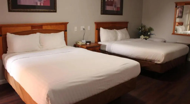 Двухместный номер Standard Thunderbird Motel Las Vegas/ New Mexico
