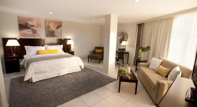 Люкс Hotel Los Andes